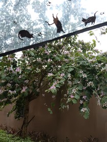 风过花海，思念成灰