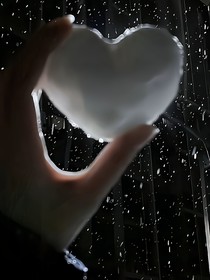 不信爱情