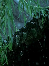 少年歌行：桃花诺