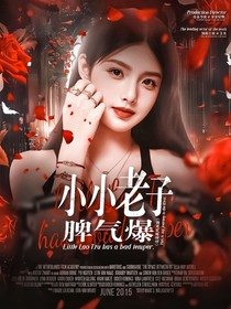 这是我的西游：小小老子脾气爆