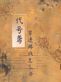 代號(hào)鳶：穿進(jìn)游戲怎么辦