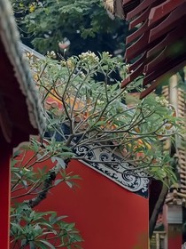 综影视之轮回司