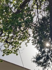 另一世界的人
