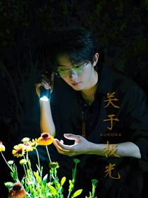 馬嘉祺：關(guān)于極光