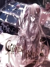 ——暗夜蔷薇——