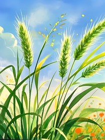 狗尾巴草到野荀麻花