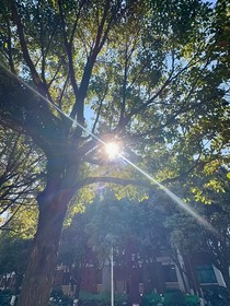 湛江思