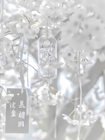 男大学生穿越民国