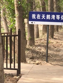 学霸与校霸的生活日常