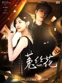全明星：菟絲花