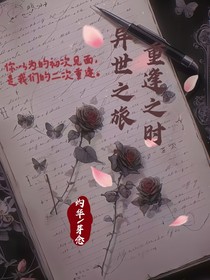 异世之旅，重逢之时