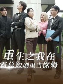 重生之我在霸总家里当保姆（王妈）