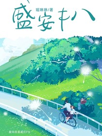 盛安F8