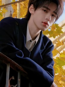 all轩：伪装在盛夏