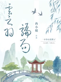 云之羽：骗局