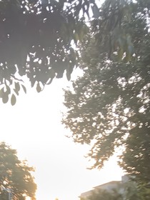 叭叭半天啦