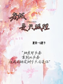 老板是只狐貍