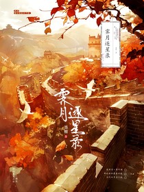 霁月逐星录