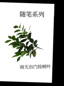 双男主随笔系列