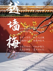 越墙梅