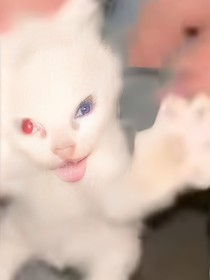穿越異世界打怪升級
