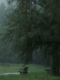 云翻雨覆異學院