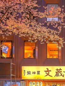 凝伤