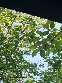 循复