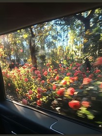 未完成的遗憾……