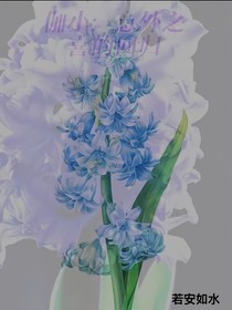 伽?。阂馔庵驳幕貧w