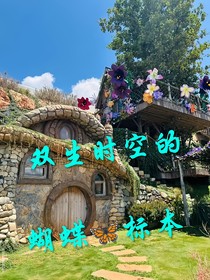 雙生時(shí)空的蝴蝶標(biāo)本