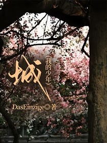 城（我的少年）