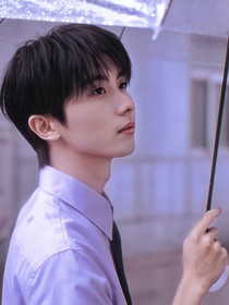 梧桐树影里的第七次动心