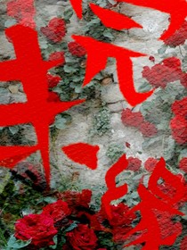 緣未完