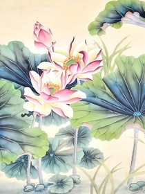 并蒂劫