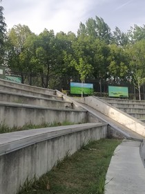 我們校隊(duì)里的那些事