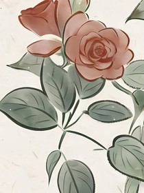 背后的那朵蔷薇花
