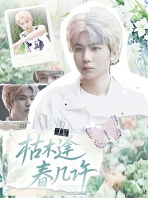 九尾：枯木逢春幾許