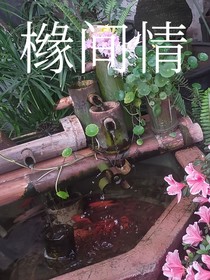 橼间情