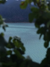 弦上离歌
