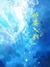 娇妻入职