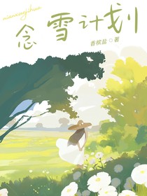念雪計(jì)劃
