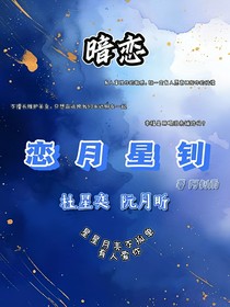 恋月星钊