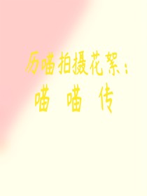 历喵宫斗剧花絮：喵喵传