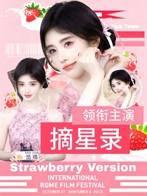 男性向：摘星錄