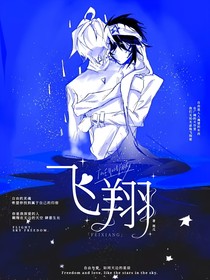 雷安：飞翔