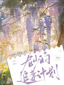 龙少的追妻计划
