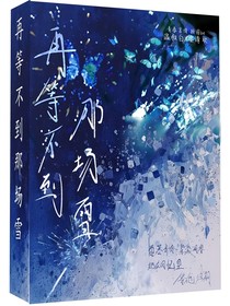 再等不到那場雪