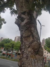 父愛(ài)如山，四十而立