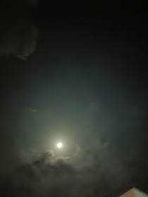 夏日小小作文
